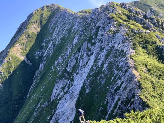 蝶ヶ岳の稜線2