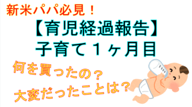 【出産＆子育て・育児ブログ  0歳1ヶ月】お金や大変だったことなどの育児経過報告