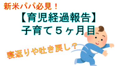 【子育て・育児ブログ  0歳5ヶ月目】お金や大変だったことなどの育児経過報告