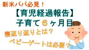 【子育て・育児ブログ ０歳６ヶ月目】お金や大変だったことなどの育児経過報告