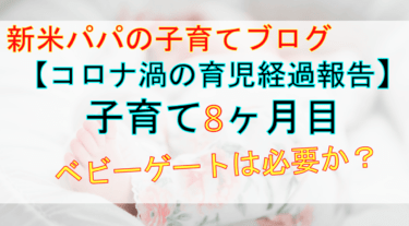 【子育て・育児ブログ ０歳８ヶ月目】お金や大変だったことなどの育児経過報告