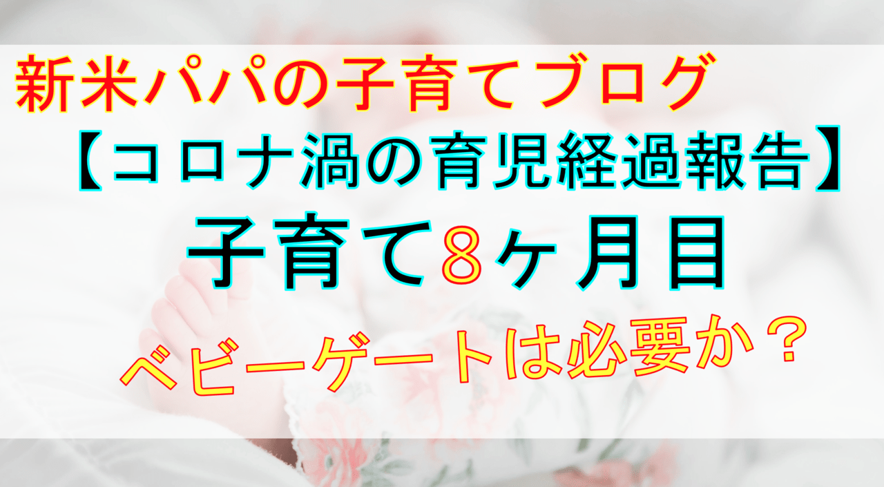 子育て 育児ブログ ０歳８ヶ月目 お金や大変だったことなどの育児経過報告 おったんの日記 Wotablog