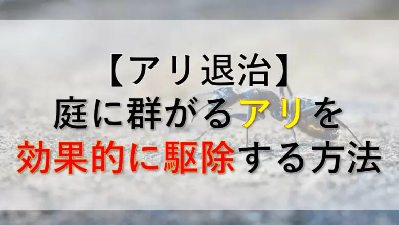 殺虫剤不要 庭やベランダに群がる大量のアリの巣を効果的に駆除する方法 おったんの日記 Wotablog
